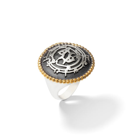 Z20 - RING