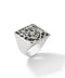 Z21 - RING